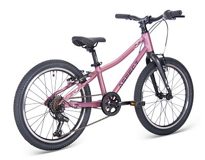 Превью Детский велосипед Велосипед ASPECT Galaxy Фиолетовый (2025)